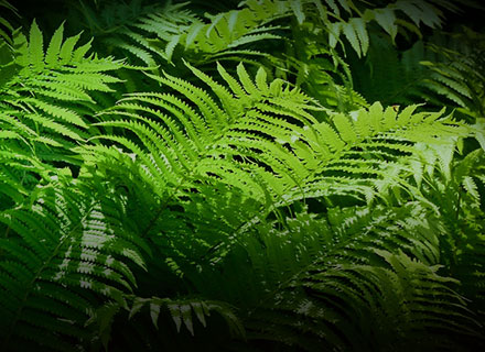 918博天堂(中国区)官方网站